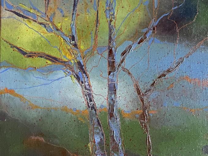 silver birch