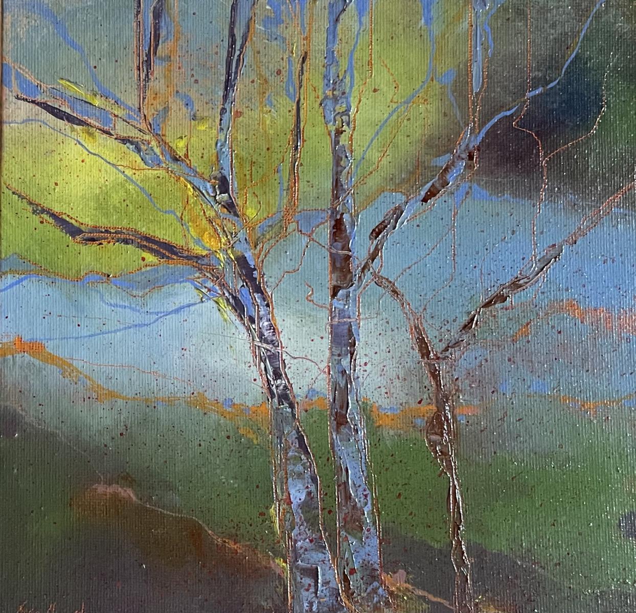 silver birch